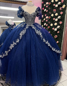 Sparkly Navy Off the Shoulder Applique Princess Tulle Quinceanera Dress