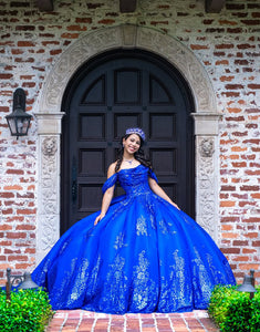 Royal Blue Off the Shoulder Sequins Applique Princess Tulle Quinceanera Dress