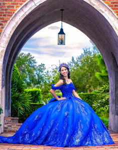 Royal Blue Off the Shoulder Sequins Applique Princess Tulle Quinceanera Dress