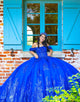 Royal Blue Off the Shoulder Sequins Applique Princess Tulle Quinceanera Dress