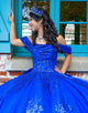 Royal Blue Off the Shoulder Sequins Applique Princess Tulle Quinceanera Dress