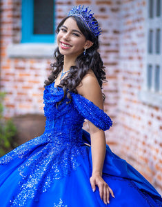 Royal Blue Off the Shoulder Sequins Applique Princess Tulle Quinceanera Dress