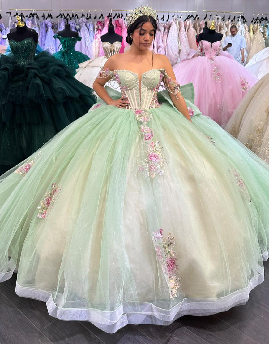 Dressself Light Green Off the Shoulder Sleeveless Backless Lace-up Applique Princess Tulle Quinceanera Dress with Bow Dressself Light Green Off the Shoulder Sleeveless Backless Lace-up Applique Princess Tulle Quinceanera Dress with Bow