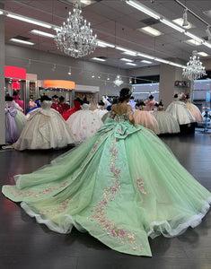 Light Green Off the Shoulder Applique Princess Tulle Quinceanera Dress