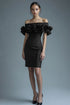 Black Off The Shoulder Ruffled Graduation Dress