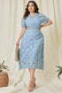 Blue Plus Size Mother Of The Bride Dress with Appliques