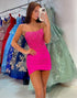 Strapless Fuchsia Satin Corset Tight Homecoming Dress with Lace