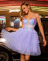 Corset A-Line Tiered Tulle Purple Homecoming Dress With Appliques