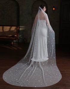 Ivory Tulle Long Cathedral Veil With Embroidery