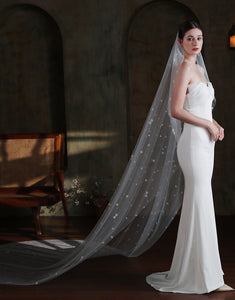 Ivory Tulle Long Cathedral Veil With Embroidery