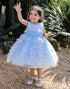 Sky Blue Flower Appliques Tulle Flower Girl Dress